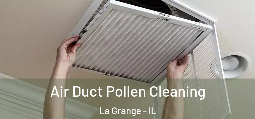  Air Duct Pollen Cleaning La Grange - IL