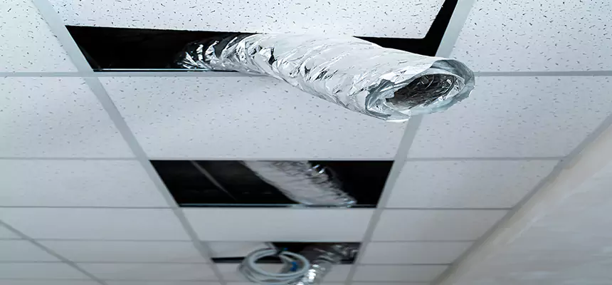 Affordable HVAC Sanitizing After Pest Removal in La Grange