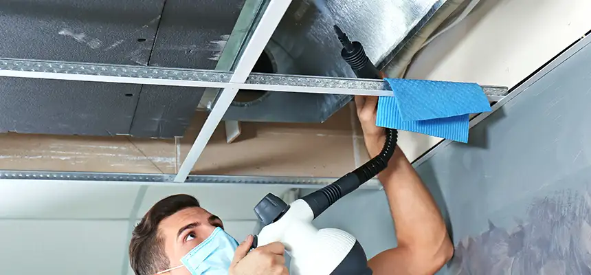 Our Air Duct Rodent Removal Services in La Grange, IL