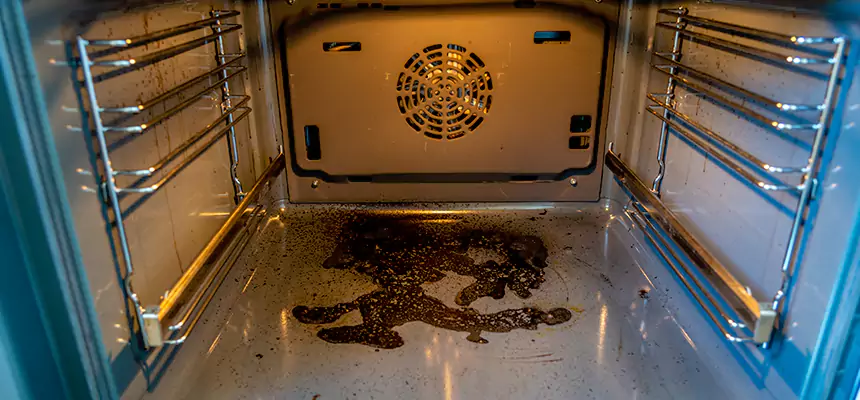 Our Dryer Vent Mold Cleaning Services in La Grange, IL