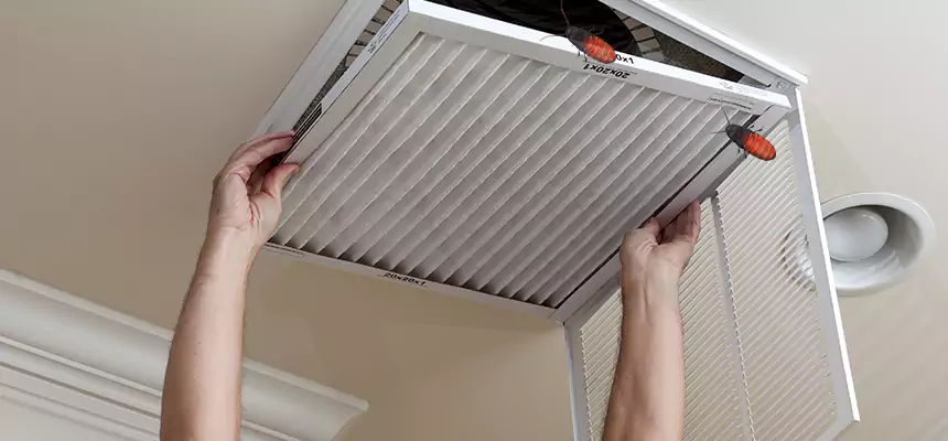 Our Insect Removal from Air Ducts Services in La Grange, IL