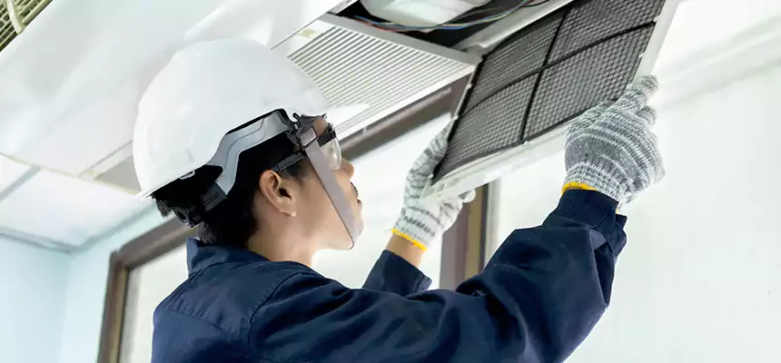 Our Mold & Mildew Removal from Air Ducts Services in La Grange, IL