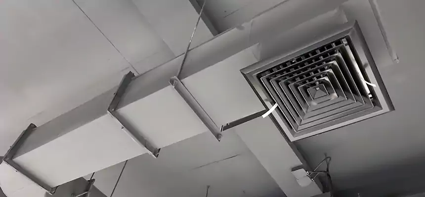 Our Pest Removal From Ducts Services in La Grange, IL