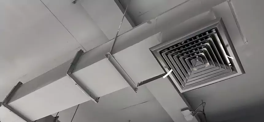 Our Rodent Droppings In Vents Services in La Grange, IL