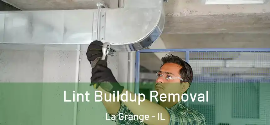  Lint Buildup Removal La Grange - IL