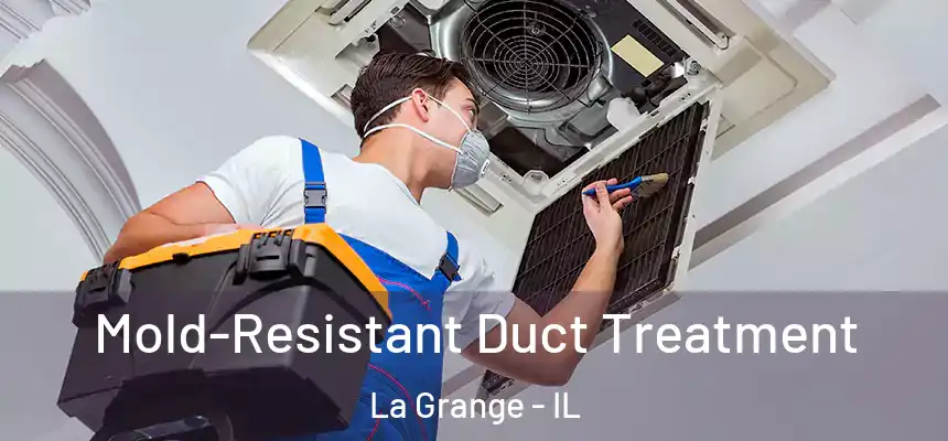  Mold-Resistant Duct Treatment La Grange - IL