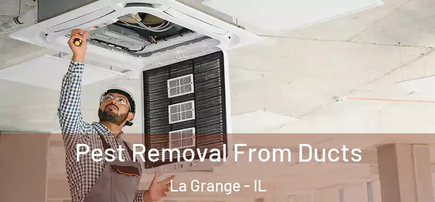  Pest Removal From Ducts La Grange - IL