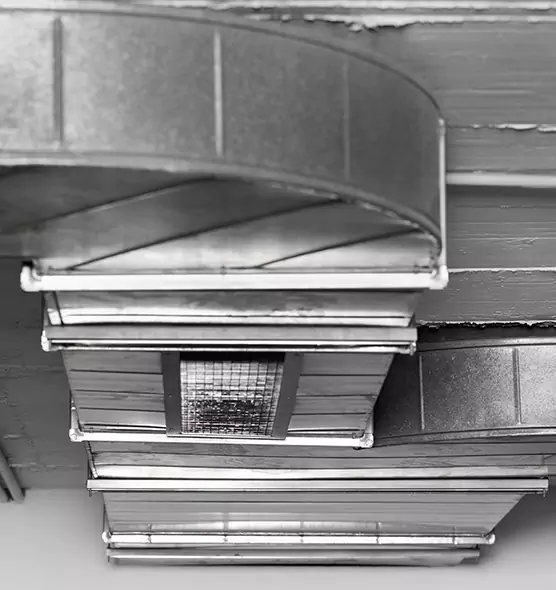 Professional Air Duct Pet Hair Removal in La Grange, IL