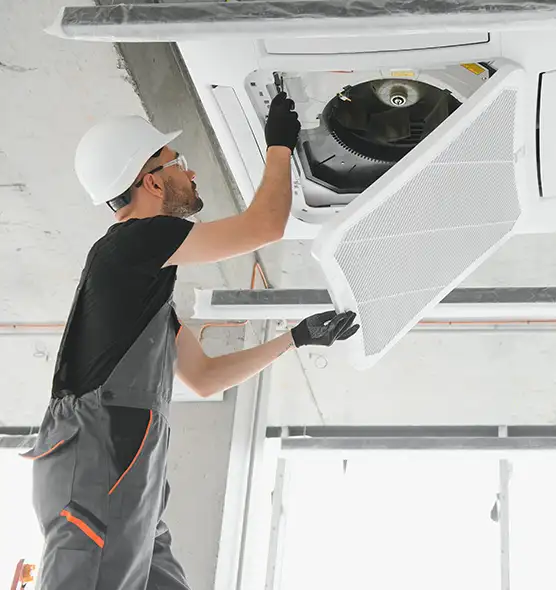 About Air Duct Rodent Removal in La Grange, IL