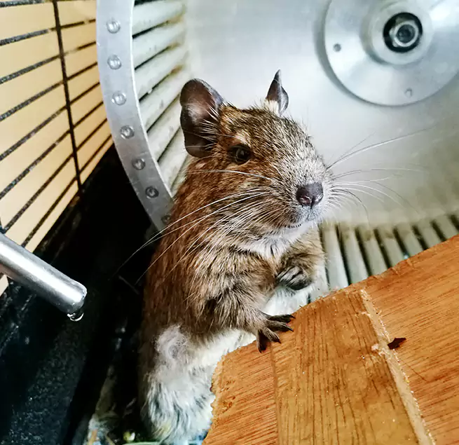 Why Homeowners & Businesses Trust Us La Grange, IL