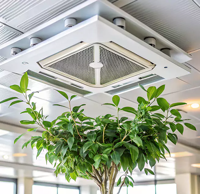 Why Homeowners & Businesses Trust Us in La Grange, IL?