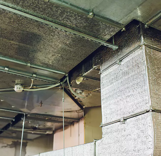 Why Homeowners & Businesses Trust Us in La Grange, IL?